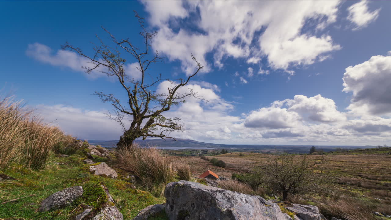 Time lapse of rural landscape with a single leafless tree in the foreground on a hillside and lake in the distance during a spring sunny day in Arigna mountains in county Leitrim in Ireland