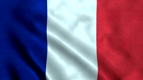 bandera de guyana francesa con un bucle sin costuras de 4k