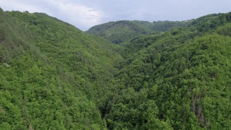 Green-lush-jungle-valley,-drone-fly-over-during-summer,-slow