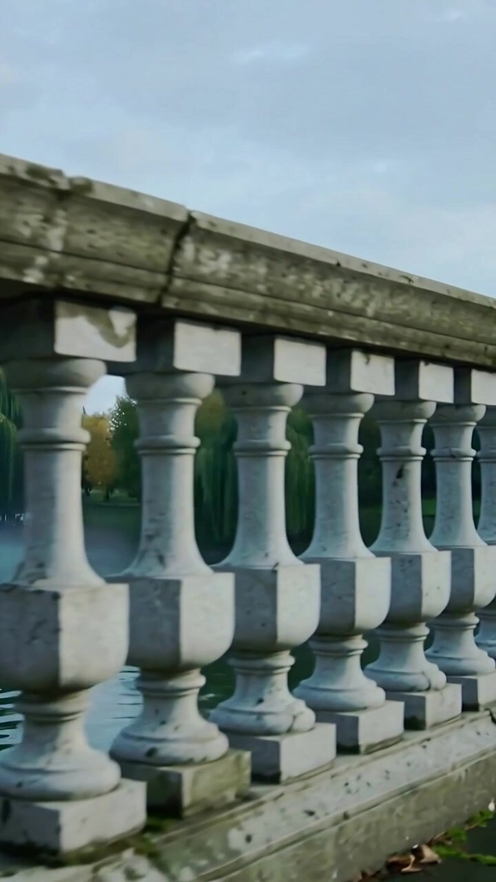 Video verticale: Inizio panoramica della telecamera lungo una balaustra usurata in un parco per rivelare le increspature di uno stagno e gli alberi.