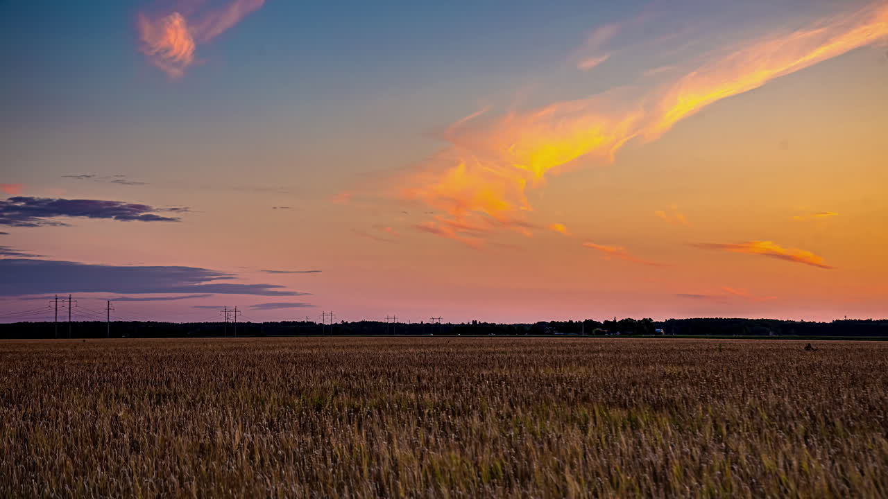 弧形の雲が黄色オレンジピンクの色に輝き夕暮れの空っぽの荒れ果てた小麦畑の上に輝いています