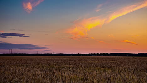 nubes en forma de arco brillan de amarillo naranja y rosa sobre el campo de trigo estéril vacío al atardecer