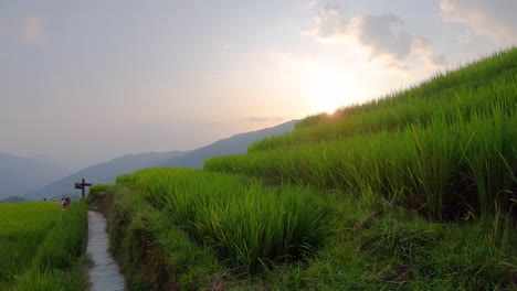 dusk over the scenic seven stars accompany the moon cascading layered rice terraces forming part of longji rice terraces, pingan village,  guangxi province, china