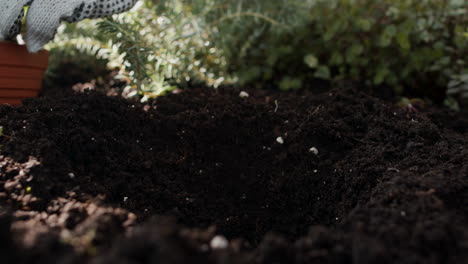 jardinero que trabaja en interiores