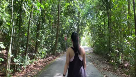 backview of a woman tourist walking in pavement road in forest park at pulau ubin island, singapore. - full body shot, tilt down