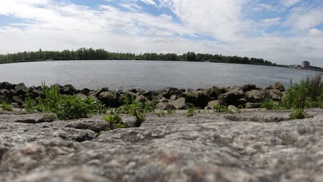 timelapse on the shore of a river