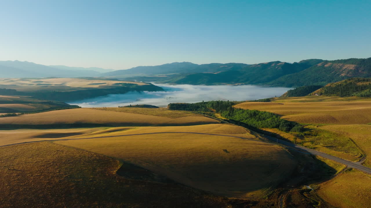 Scenic Landscape of Rolling Hills and Misty Valley