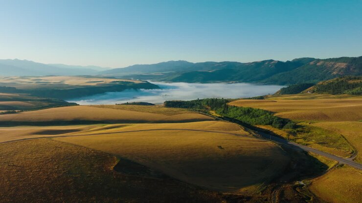 Scenic Landscape of Rolling Hills and Misty Valley