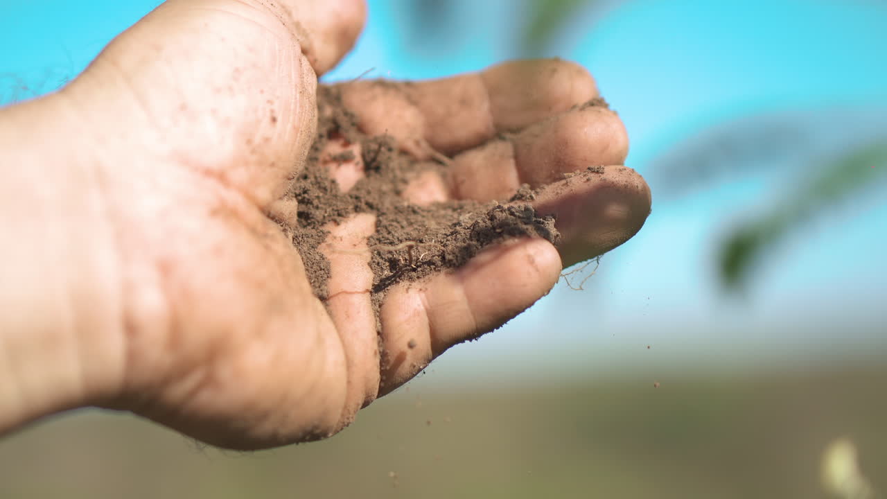 la mano liberando el suelo, simbolizando la conexión entre la humanidad y la tierra, y el acto de nutrir la tierra