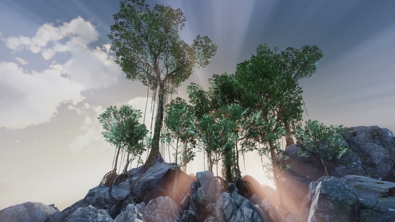 나무들을 가로지르는  ⁇ 빛