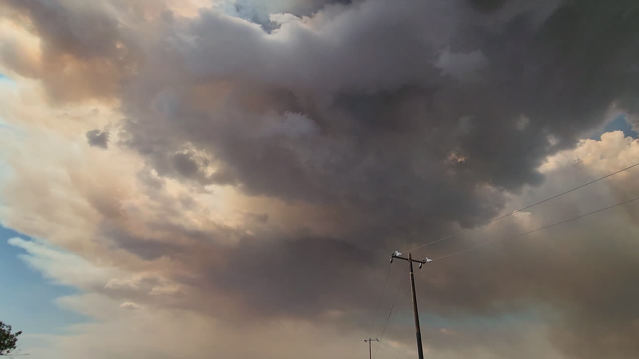 태양은 불에서 하늘을 채우는 짙은 회색 연기의 두꺼운 기둥으로 가려져 있습니다.