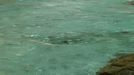 arroyo limpio río de montaña