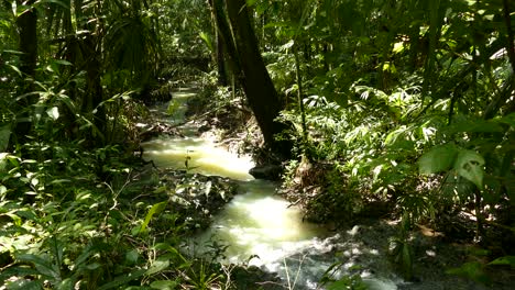 Beautiful-stream-of-white-waters-in-jungle