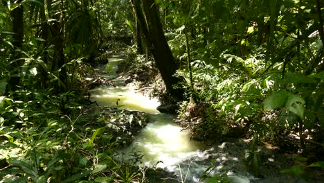 Hermosa-Corriente-De-Aguas-Blancas-En-La-Selva