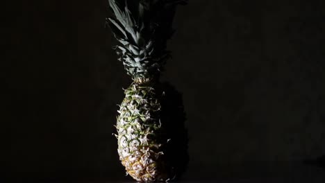 building pineapple, ananas in the dark. time lapse