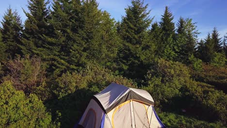 Camping in a Peaceful Forest