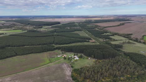vista aérea de drones del campo de uruguay árboles naturaleza