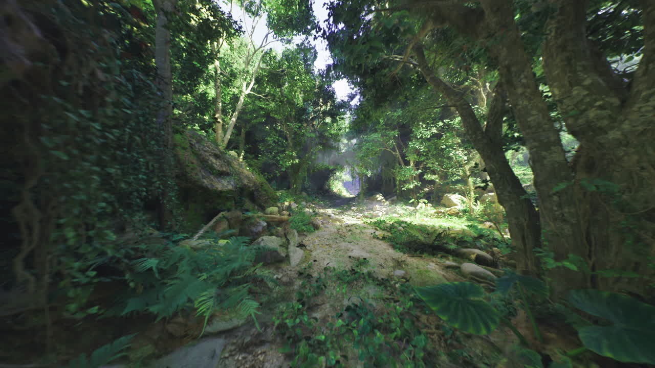 Portale di foresta fiabesca con flora vibrante e bagliore incantevole