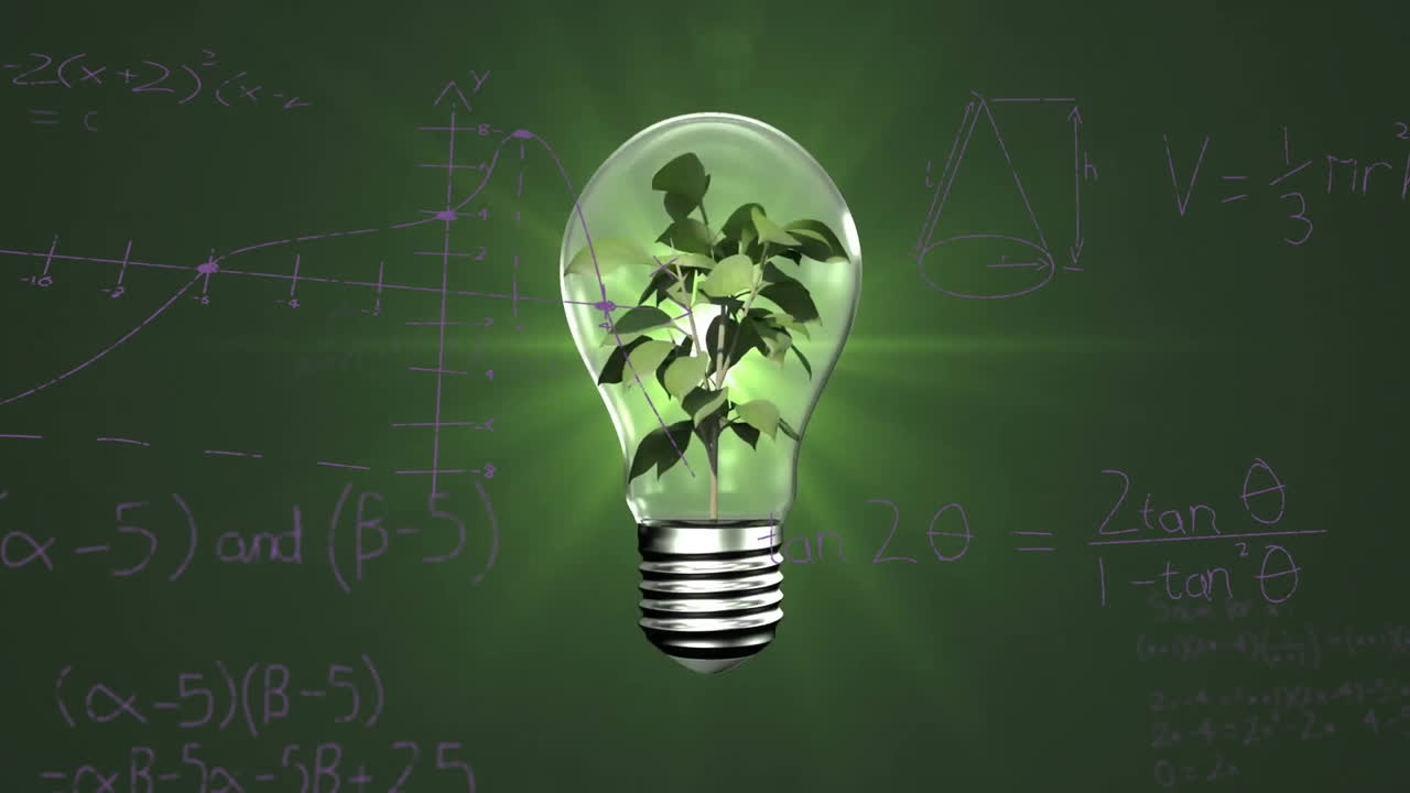 анимация растения в лампочке с математической обработкой данных на зеленом фоне
