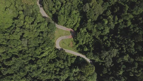 Vista-Aérea-Descendiendo-Por-La-Sinuosa-Carretera-Verde-De-La-Jungla