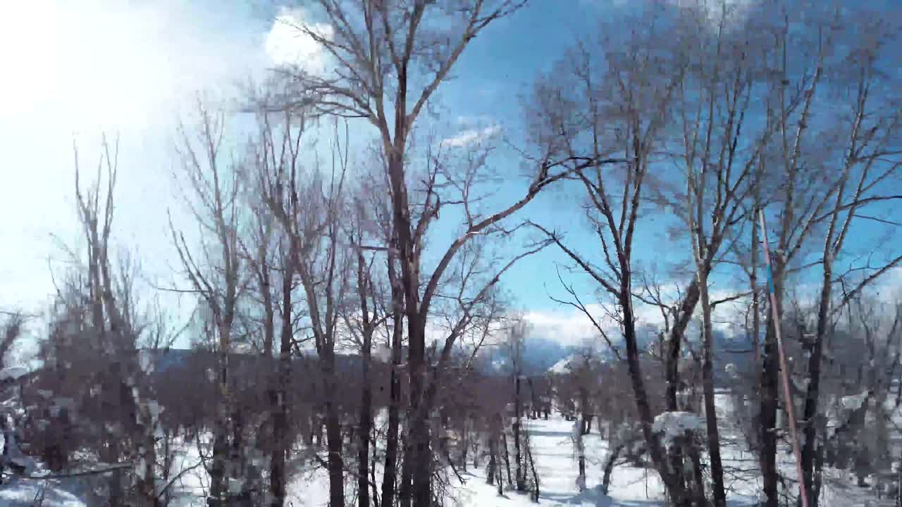 Winter Landscape with Bare Trees and Snow-capped Mountains
