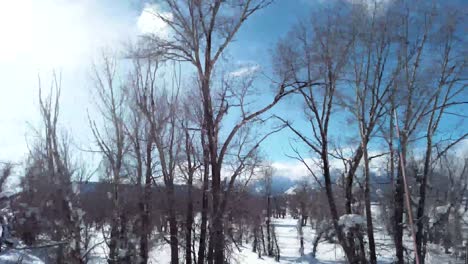 winter landscape with bare trees and snow-capped mountains