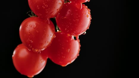 water droplets on fresh cherry tomatoes
