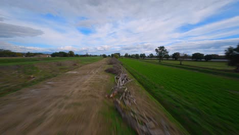 row of cut trees in the green countryside