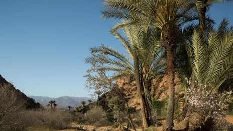 tafroute video 00
