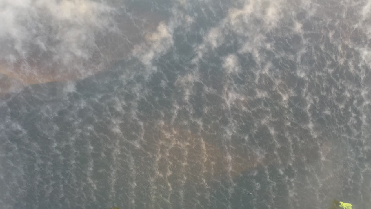 paisaje de bosque brumoso desde arriba