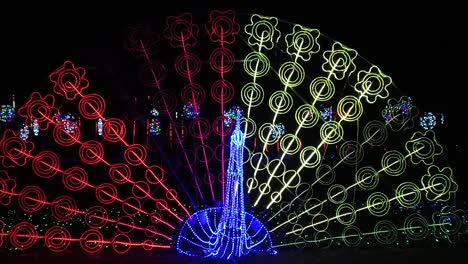 festival de luces led en el parque - pluma de pavo real en cámara lenta