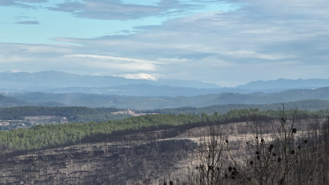스페인 엘폰트 데 빌로마라에서 산불이 난 후 타버린 나무의 공중 전망 - 드론 샷