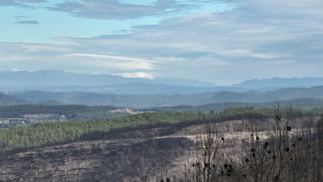 Aerial-View-Of-Burnt-Out-Trees-After-Forest-Fire-In-El-Pont-de-Vilomara,-Spain---drone-shot