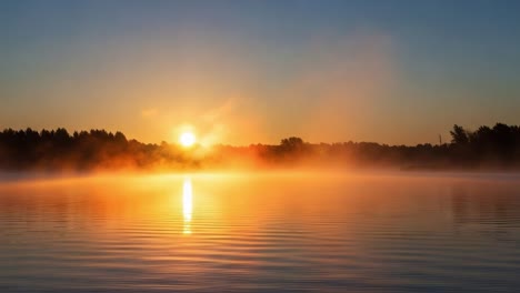 radiant morning: a stunning sunrise over reflective water surrounded by misty trees and calm waves, capturing the tranquility of nature at dawn