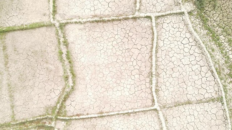 Plots of land dried out in Bangladesh landscape, barren land, aerial drone view