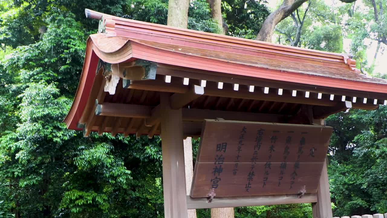 лучший вид в токио