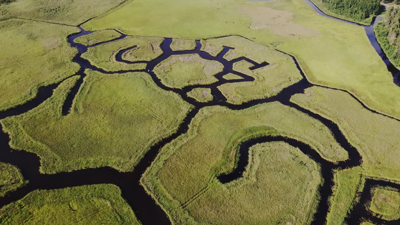 Vast marshland, revealing network of winding water channels and lush vegetation