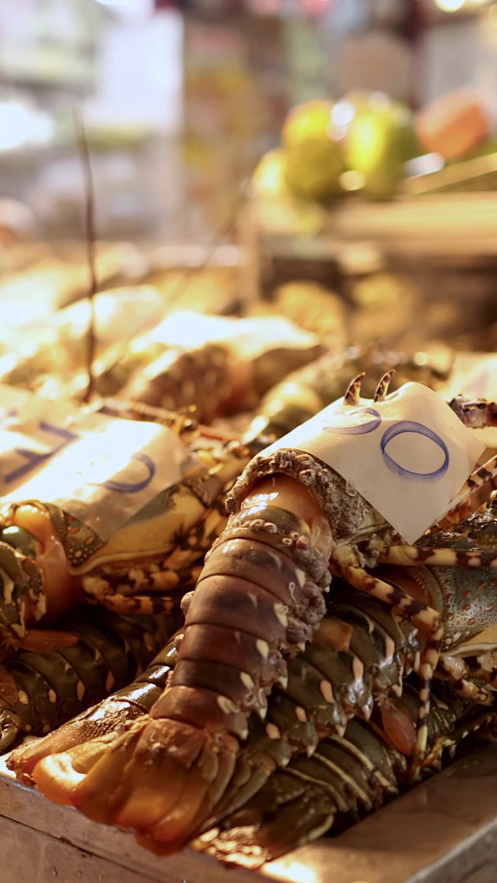 Close-up of live lobsters on ice, warm lighting, shallow focus, bustling Bangkok street market