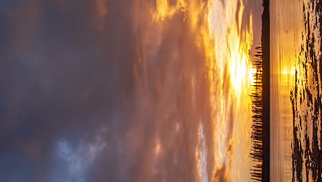 beautiful dramatic sunset timelapse over columnar pines in new caledonia, vertical format