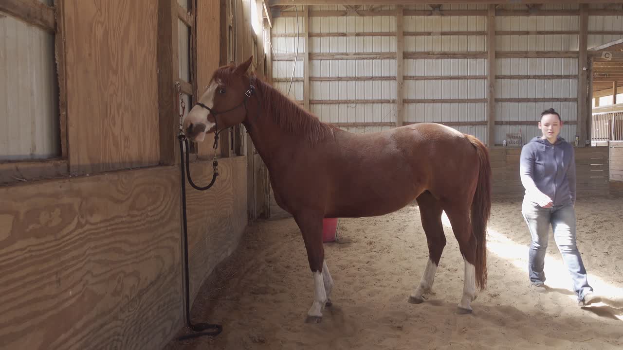 Beautiful young women cowgirl to come brush horse in a warm indoor arena with sunbeams and dust medium shot 4k from the side