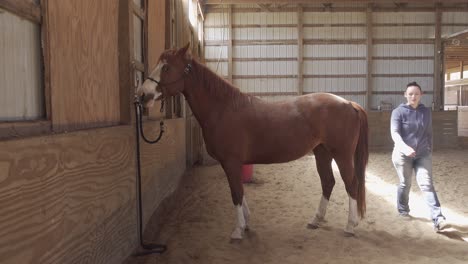 Beautiful-young-women-cowgirl-to-come-brush-horse-in-a-warm-indoor-arena-with-sunbeams-and-dust-medium-shot-4k-from-the-side