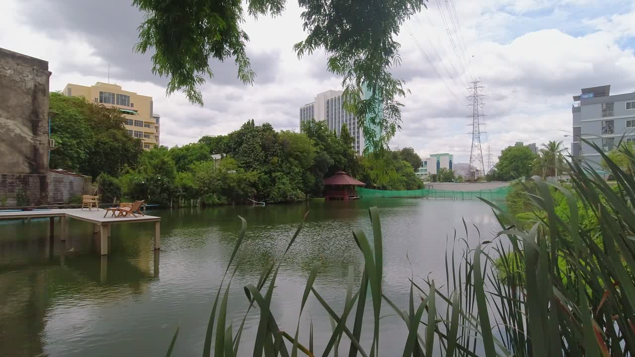 cerca de las cañas de hierba en un lago de cafetería en la ciudad de bangkok rodeado de naturaleza verde