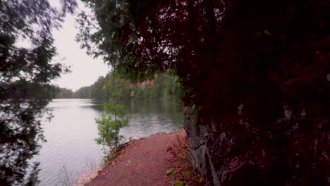 Walking-between-a-tree-and-a-rock-on-a-path-and-in-the-late-autumn-in-Quebec-and-then-going-past-a-single-tree-and-showing-the-beautiful-lake