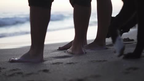 static low angle slow motion shot of a couple in love standing on the beach in the sand watching the waves from the sea with their dogs