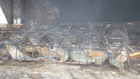 Kochen-Sie-Lebende-Frische-Flussgarnelen-Auf-Heißer-Holzkohle-Im-Grill