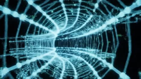 a stunning visual journey through an intricate web of light, creating a mesmerizing tunnel effect that captivates the viewer with its ethereal beauty