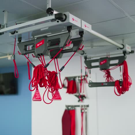 modern rehabilitation physiotherapy