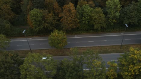 white car drives along autumn color tree lined avenue in late afternoon, drone