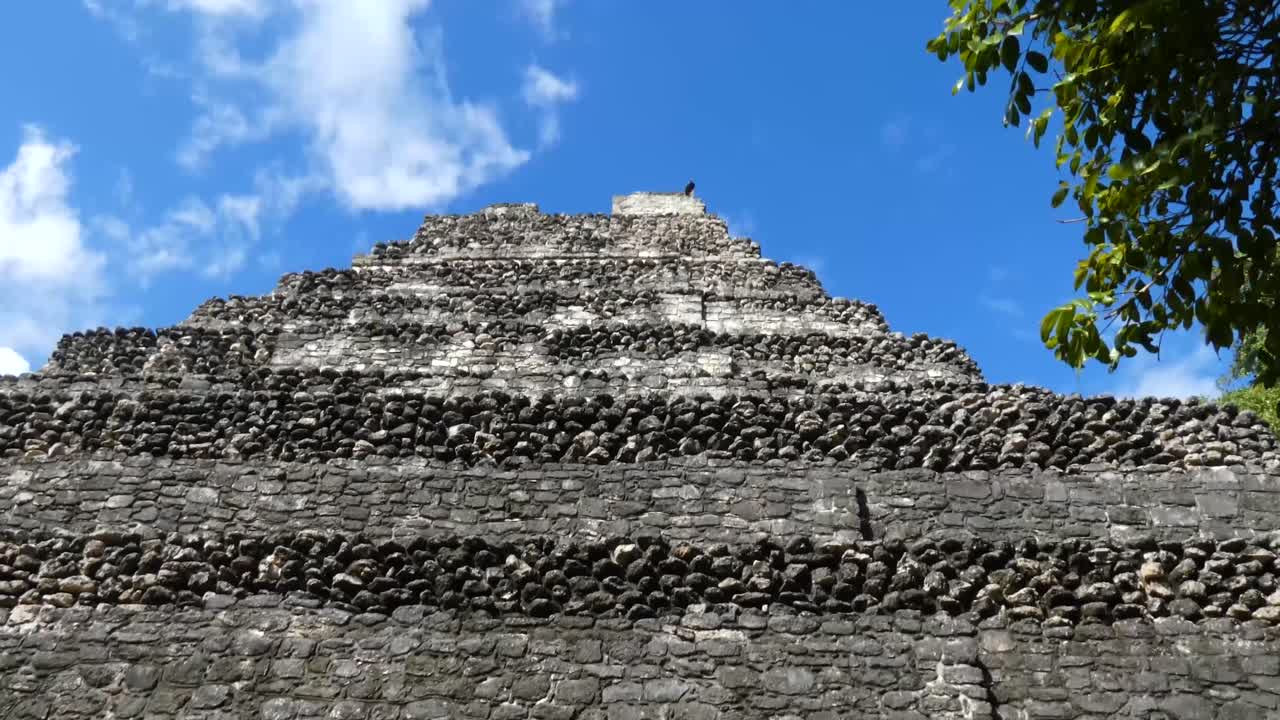 멕시코  ⁇ 타나 루 의 마야 고고학 유적지 인 차코벤 에 있는 신전 1 의 피라미드 꼭대기 에 서 있는 칠면조 독수리