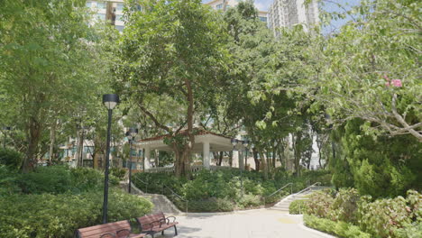 dolly push in through empty park shaded by tall trees in hong kong